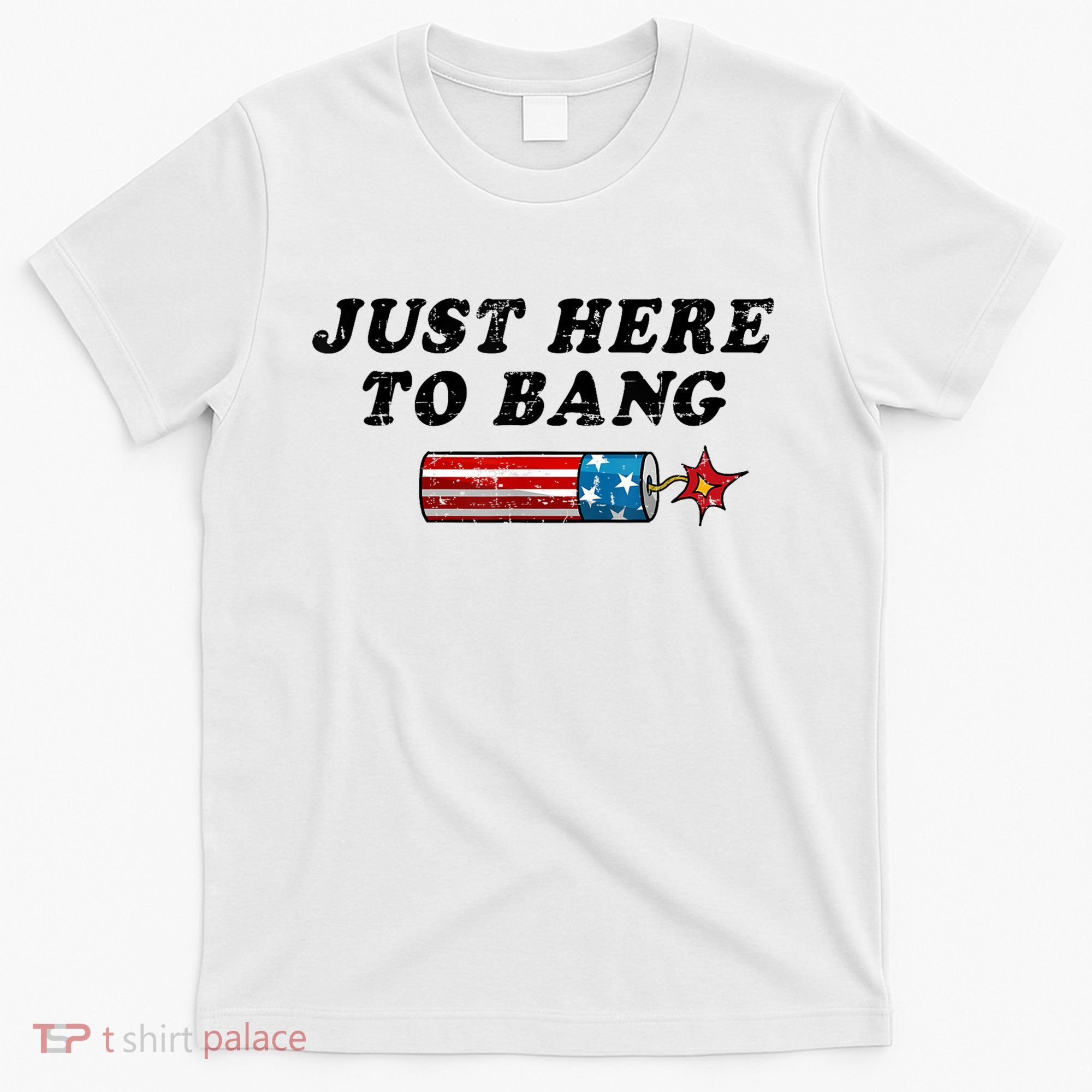 Funny Fourth Of July 4th Of July Im Just Here To Bang T-Shirt