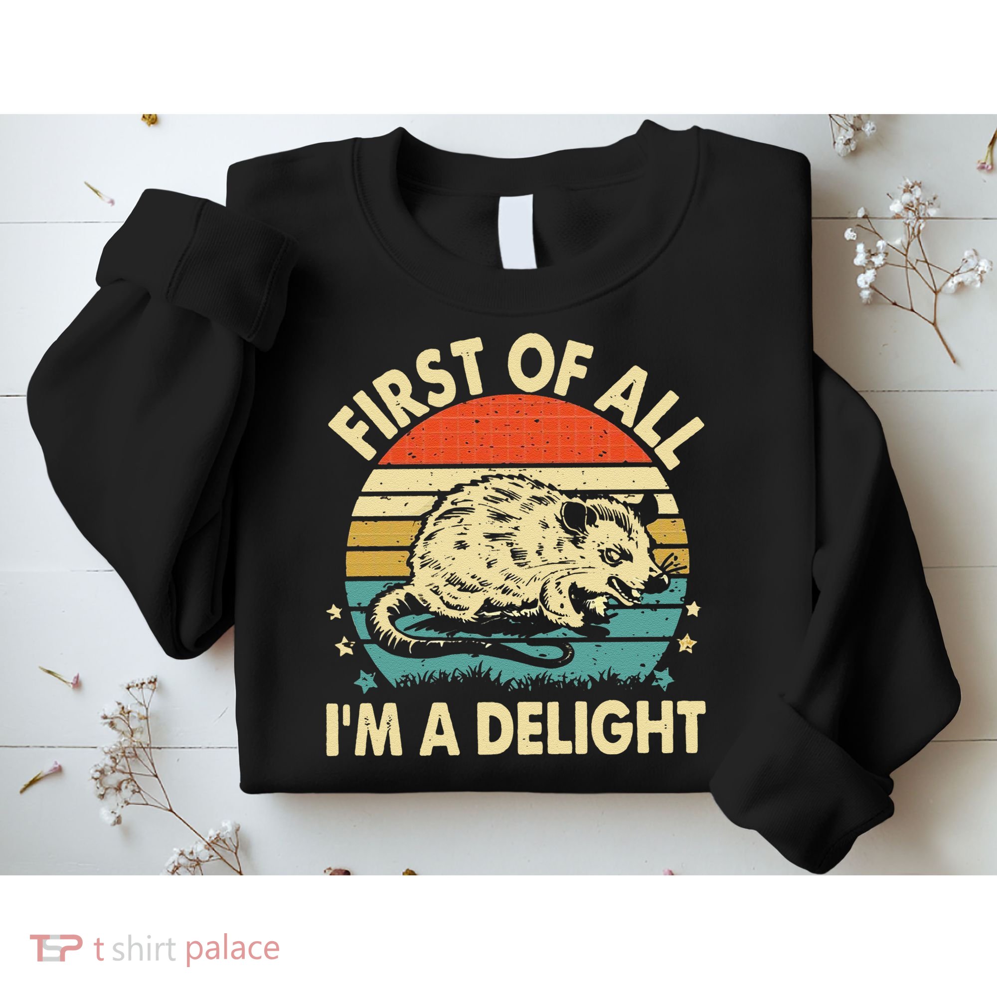Funny First Of All IM A Delight Gift Sweatshirt