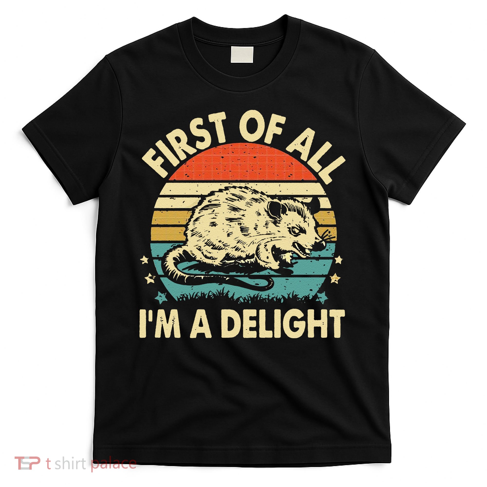 Funny First Of All IM A Delight Gift T-Shirt