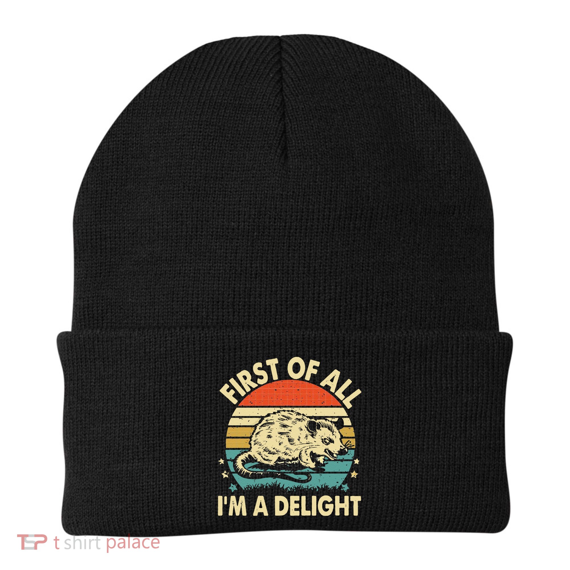 Funny First Of All IM A Delight Gift Beanie