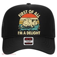 Funny First Of All IM A Delight Gift Hat thumb 0