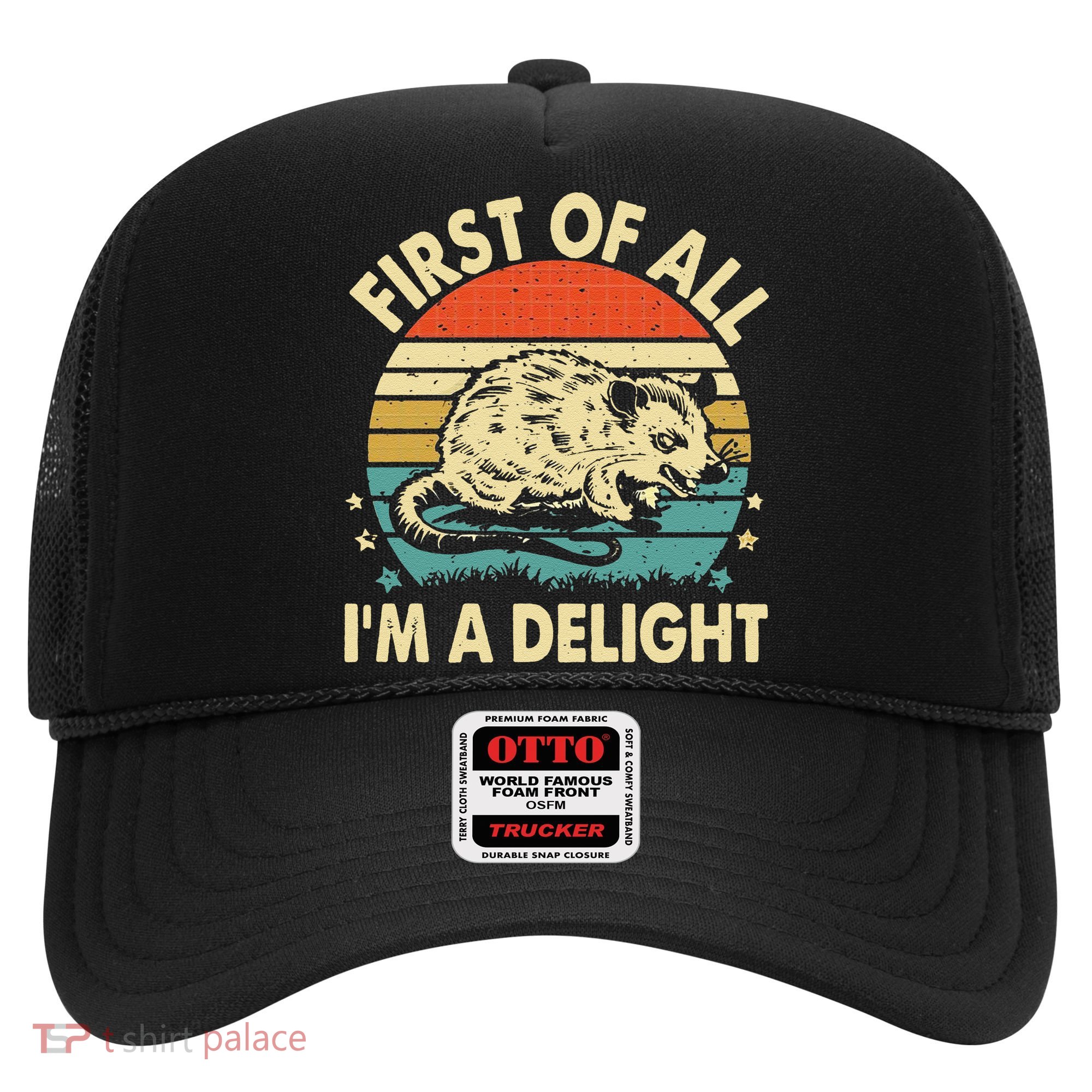 Funny First Of All IM A Delight Gift Hat