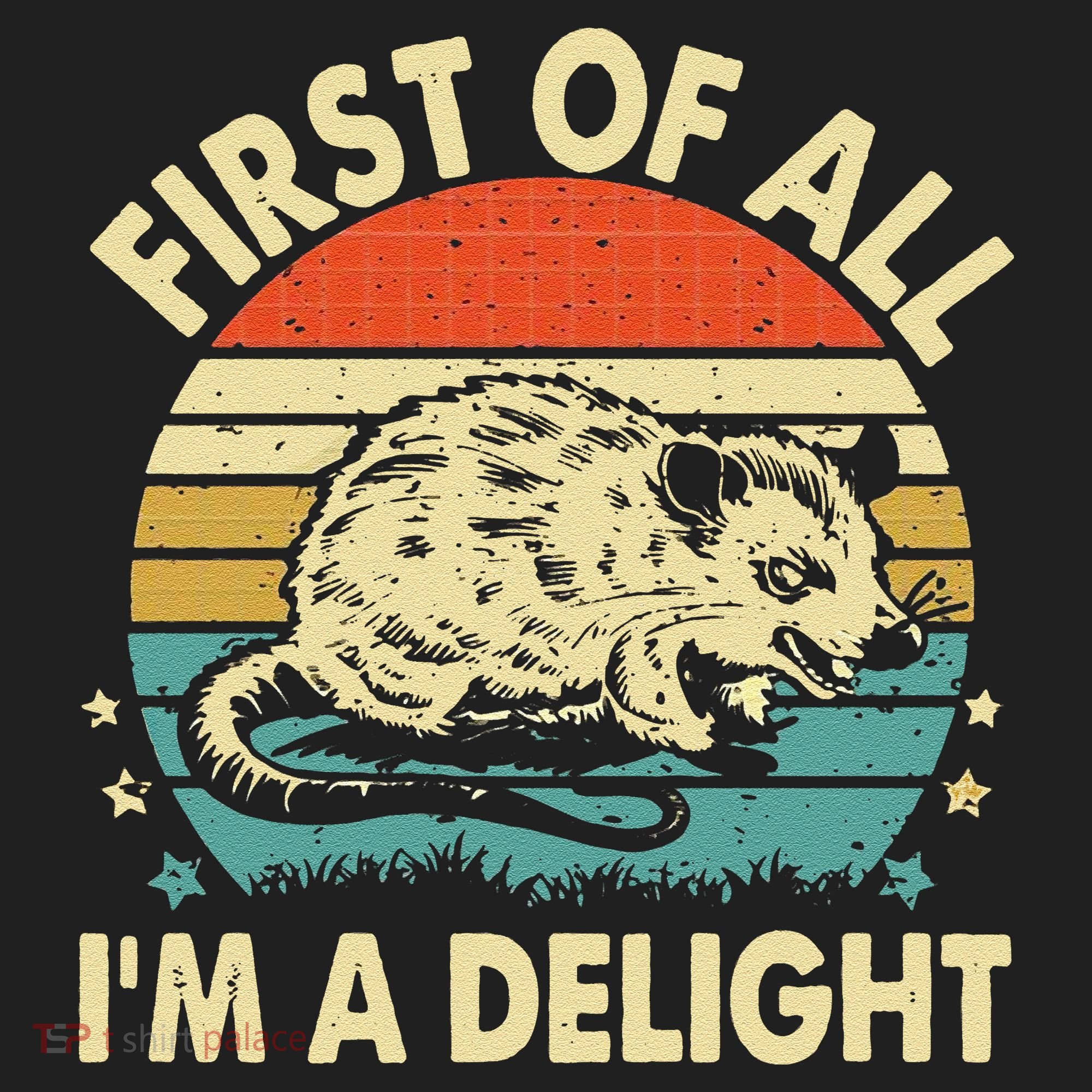 Funny First Of All IM A Delight Gift Hat