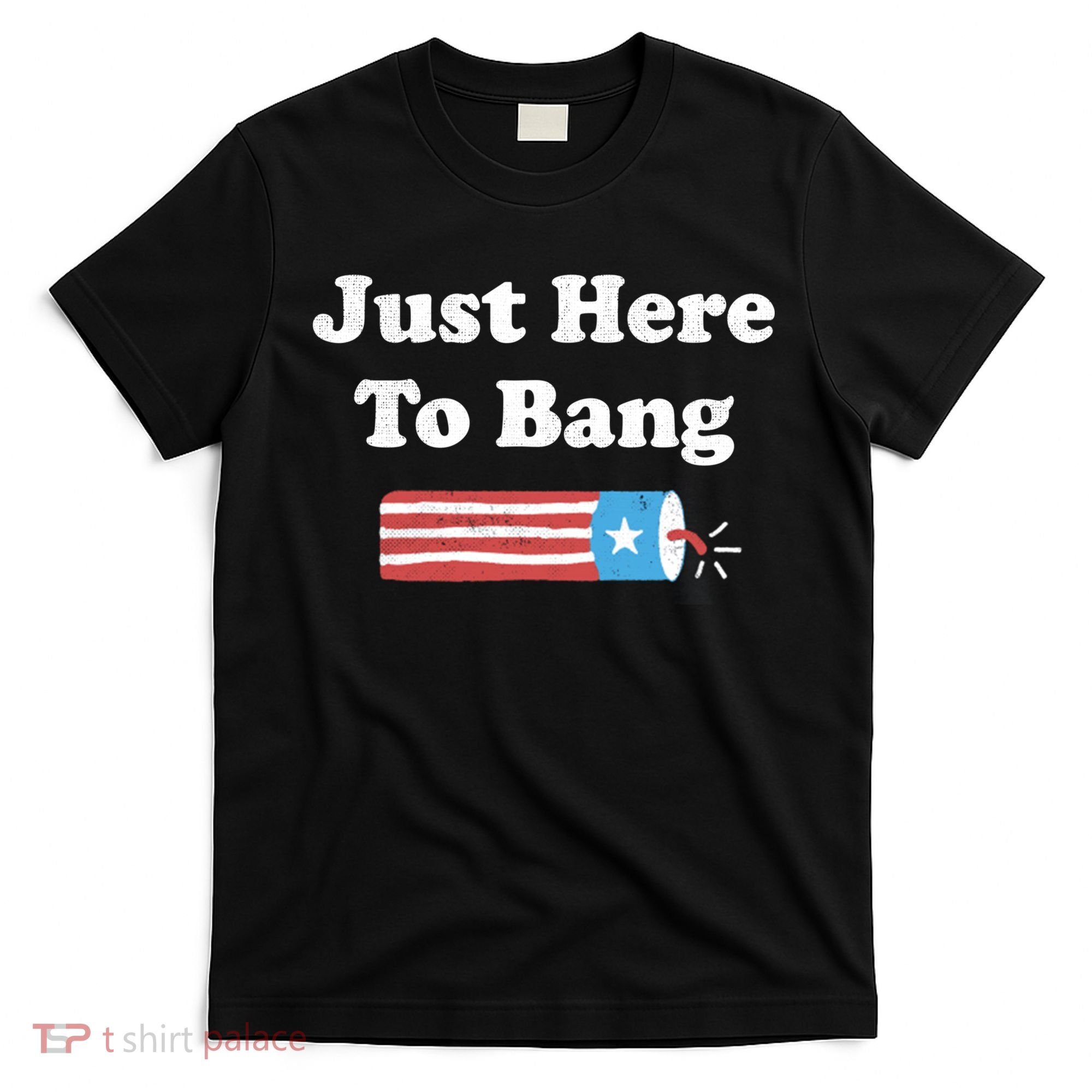 Funny Fourth Of July 4th Of July Im Just Here To Bang Long T-Shirt