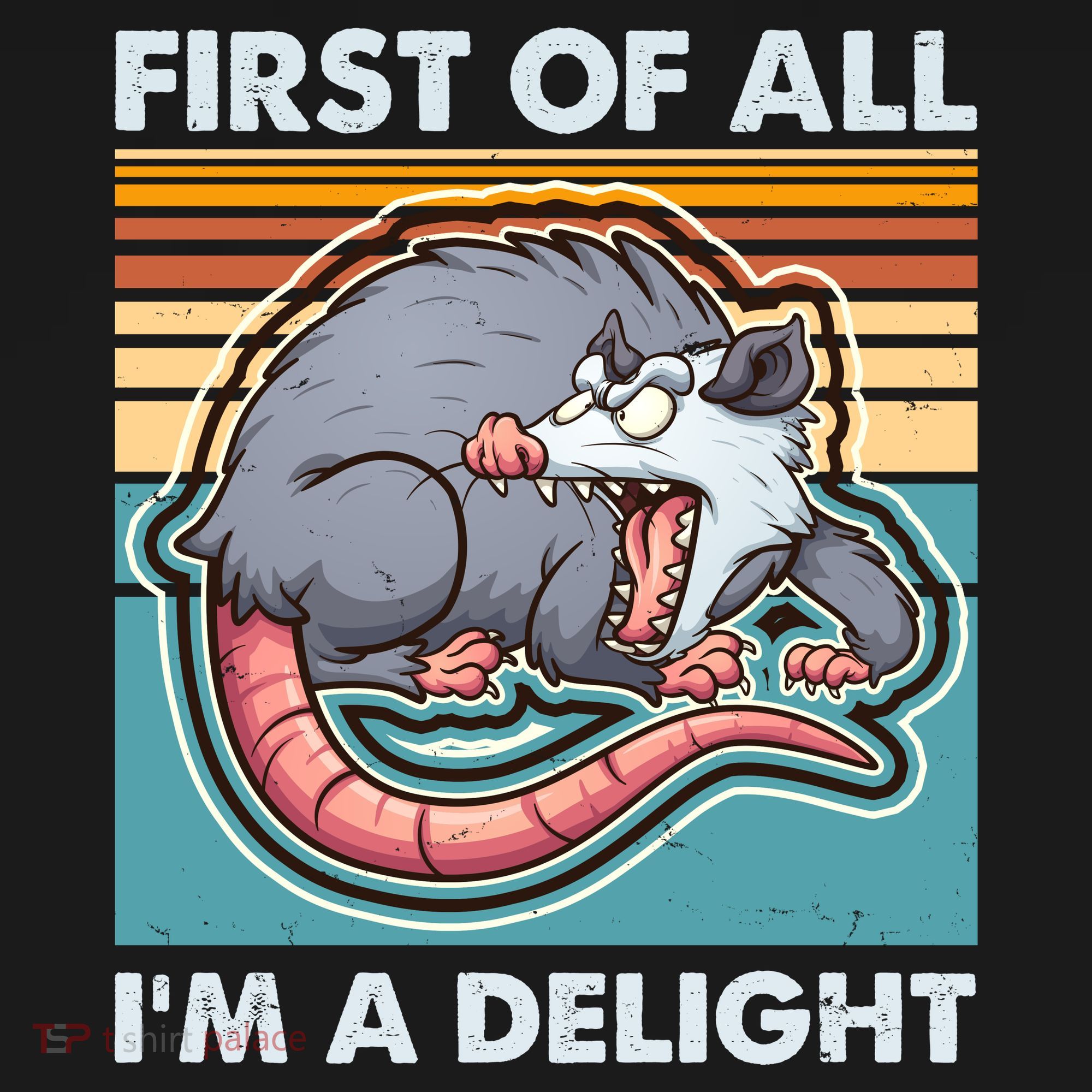 Funny First Of All Im A Delight Screaming Opossum Women's Hoodie