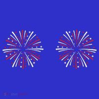 Funny Fourth Of July Fireworks T-Shirt thumb 7
