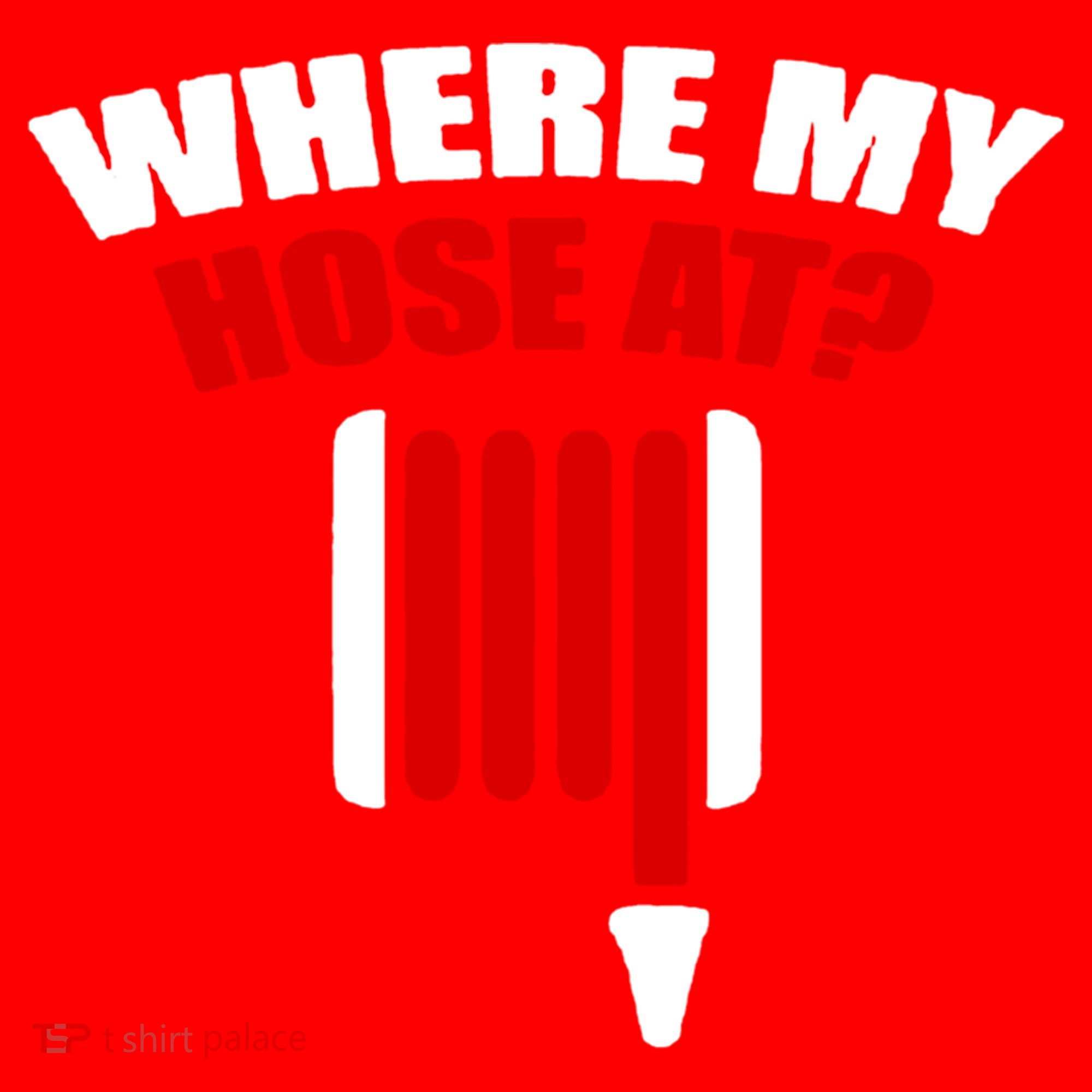 Funny Firefighter Plumber Where My Hose At Gift Santa Hat