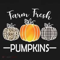 Farm Fresh Pumpkins Women's T-Shirt thumb 6