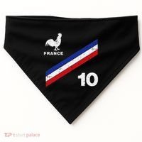 France Flag Rooster Number 10 Soccer USA-Made Doggie Bandana thumb 0