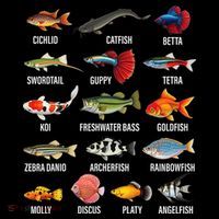 Freshwater Fish Species Chart Aquarium River Fish Guide Women's Hoodie thumb 2