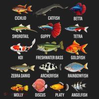 Freshwater Fish Species Chart Aquarium River Fish Guide Tumbler thumb 3