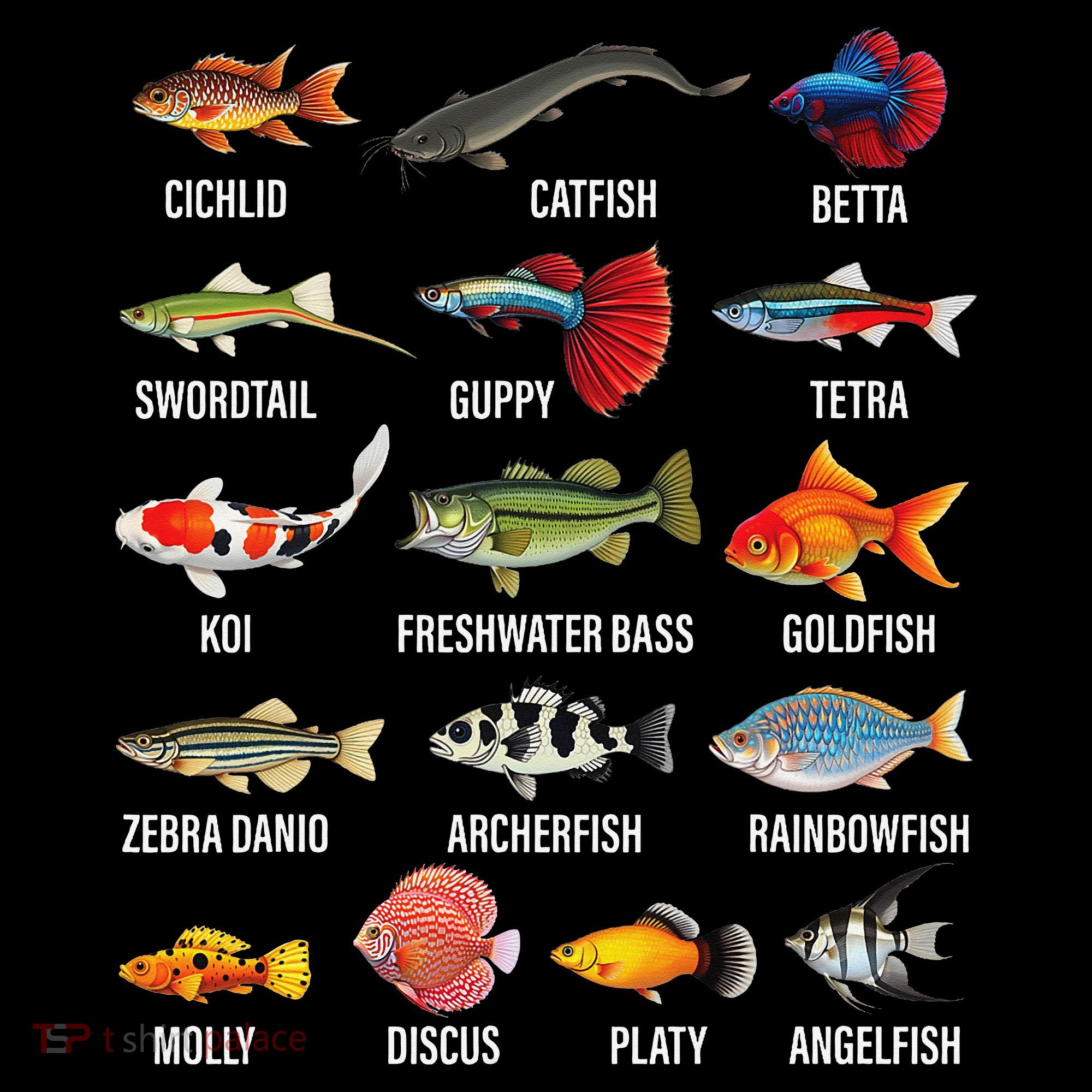Freshwater Fish Species Chart Aquarium River Fish Guide Tank Top