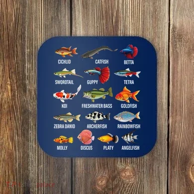 Coaster