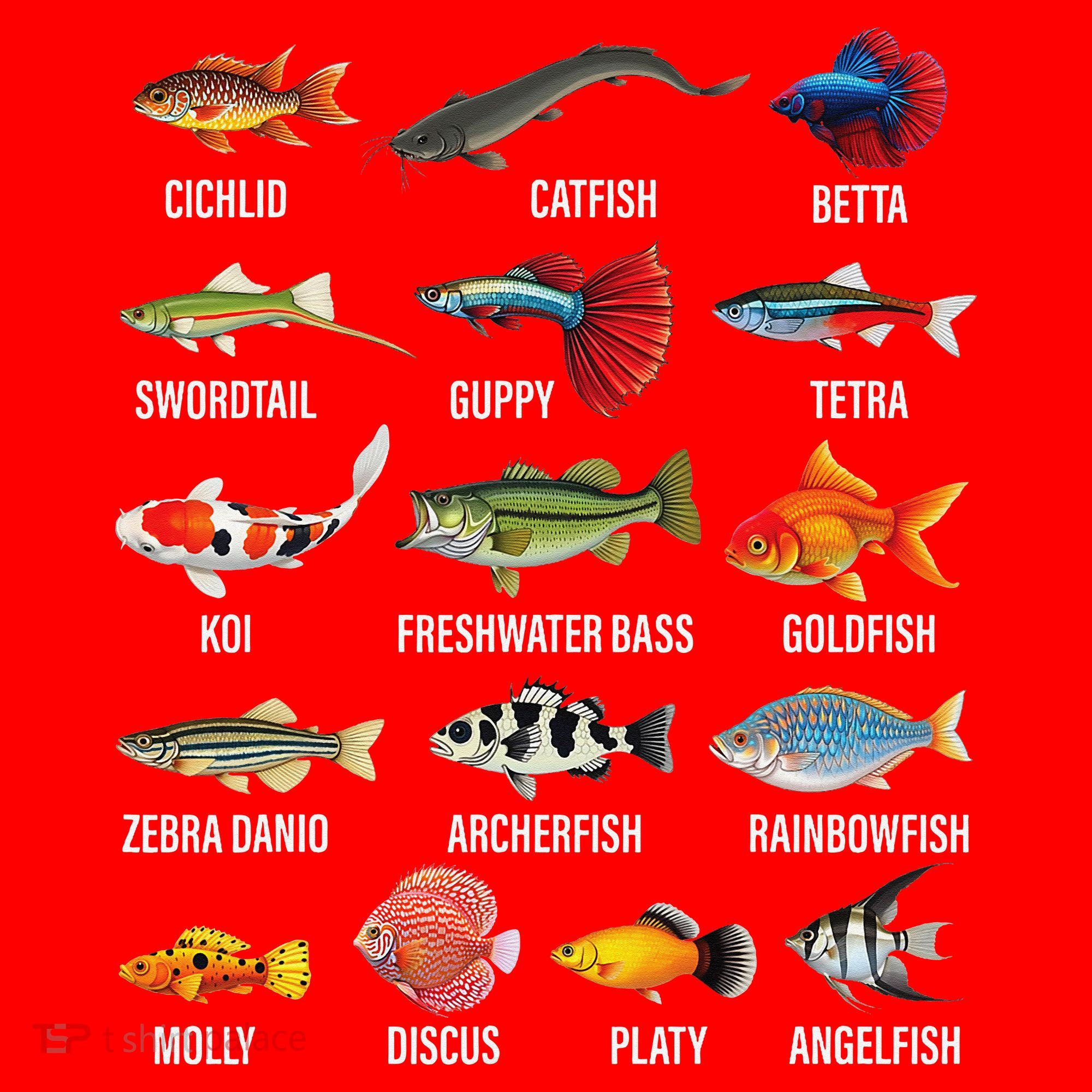 Freshwater Fish Species Chart Aquarium River Fish Guide Santa Hat