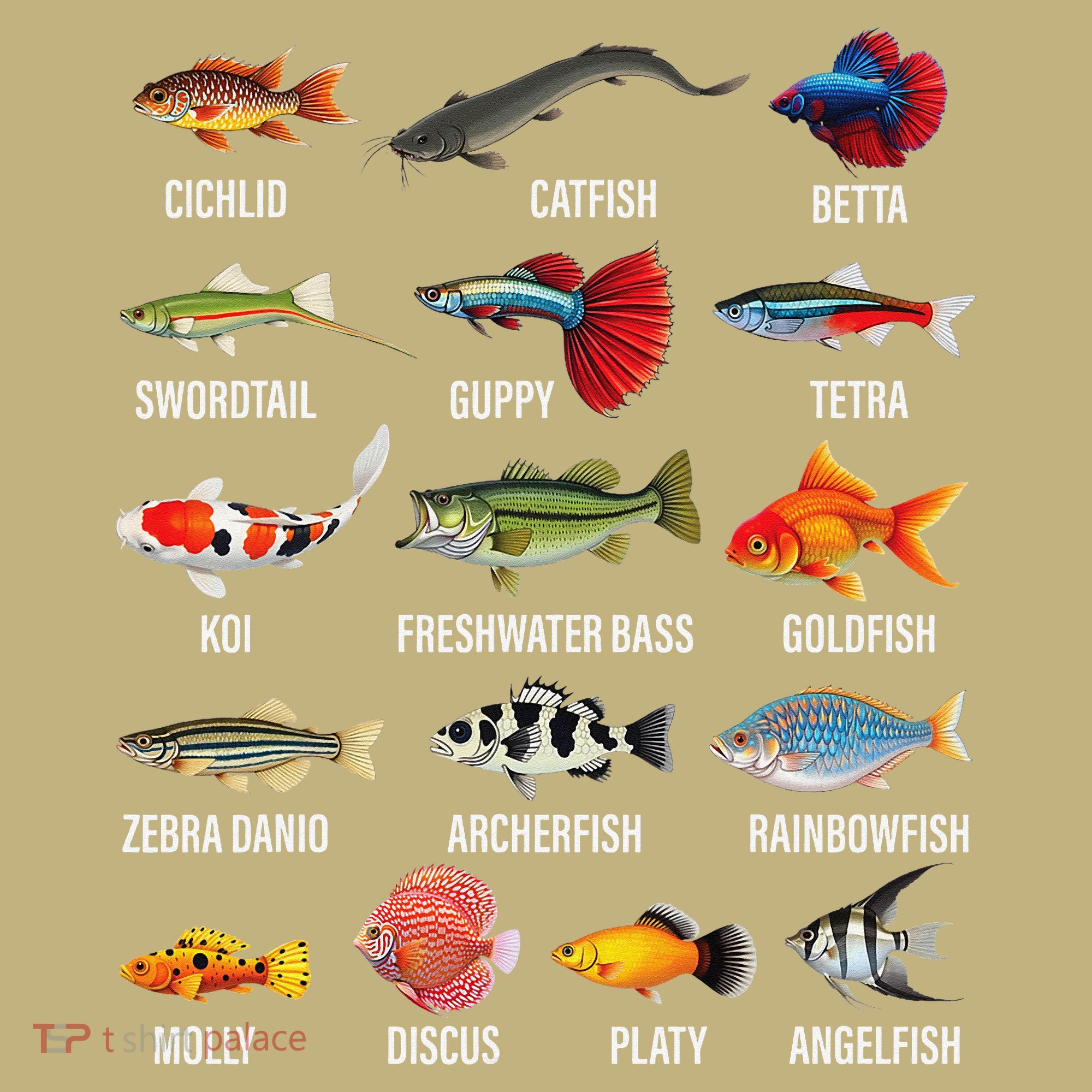 Freshwater Fish Species Chart Aquarium River Fish Guide Polo