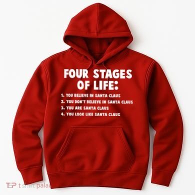 Funny Four Stages Of Life Hoodie