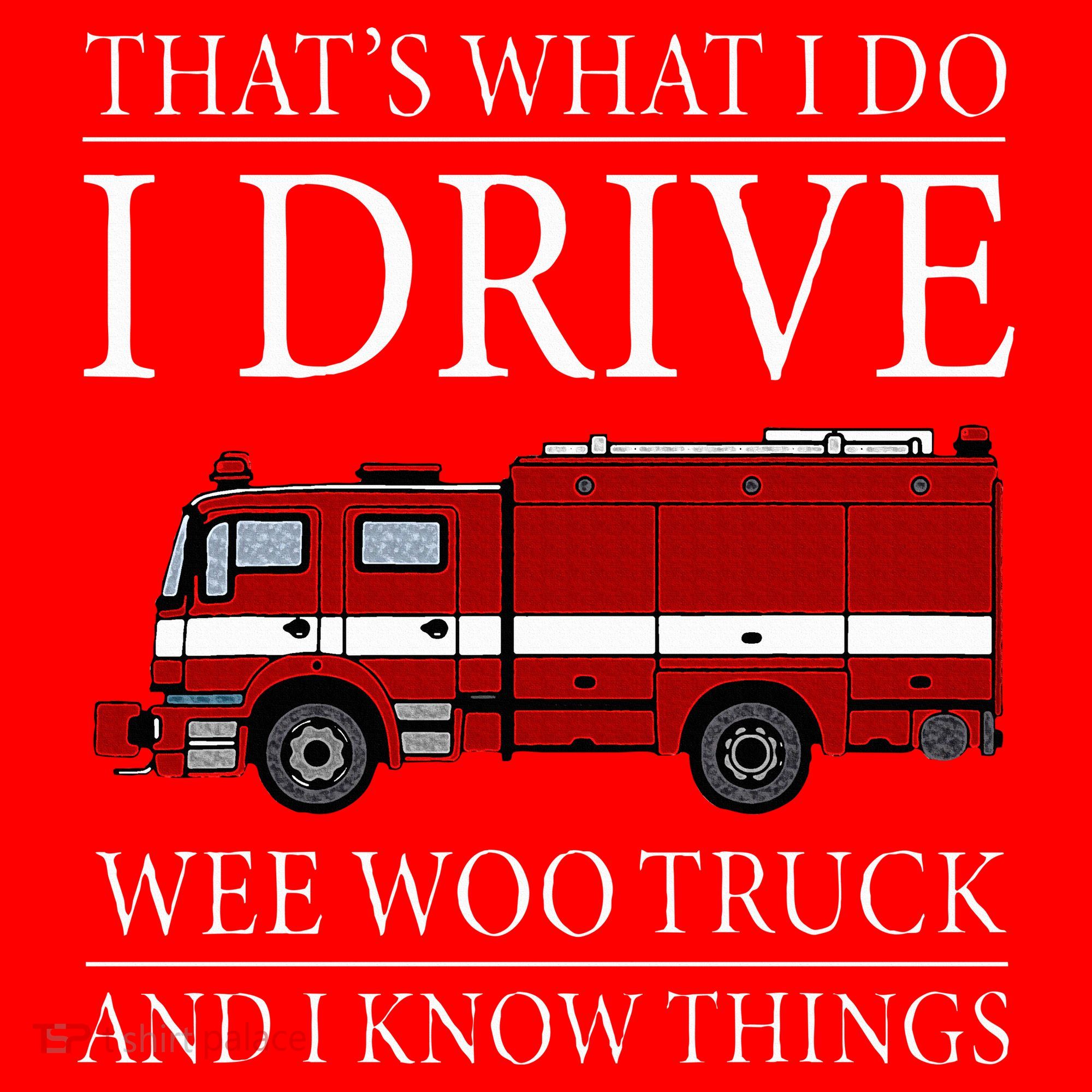 Funny Firefighter That's What I Do I Drive Wee Woo Truck Santa Hat