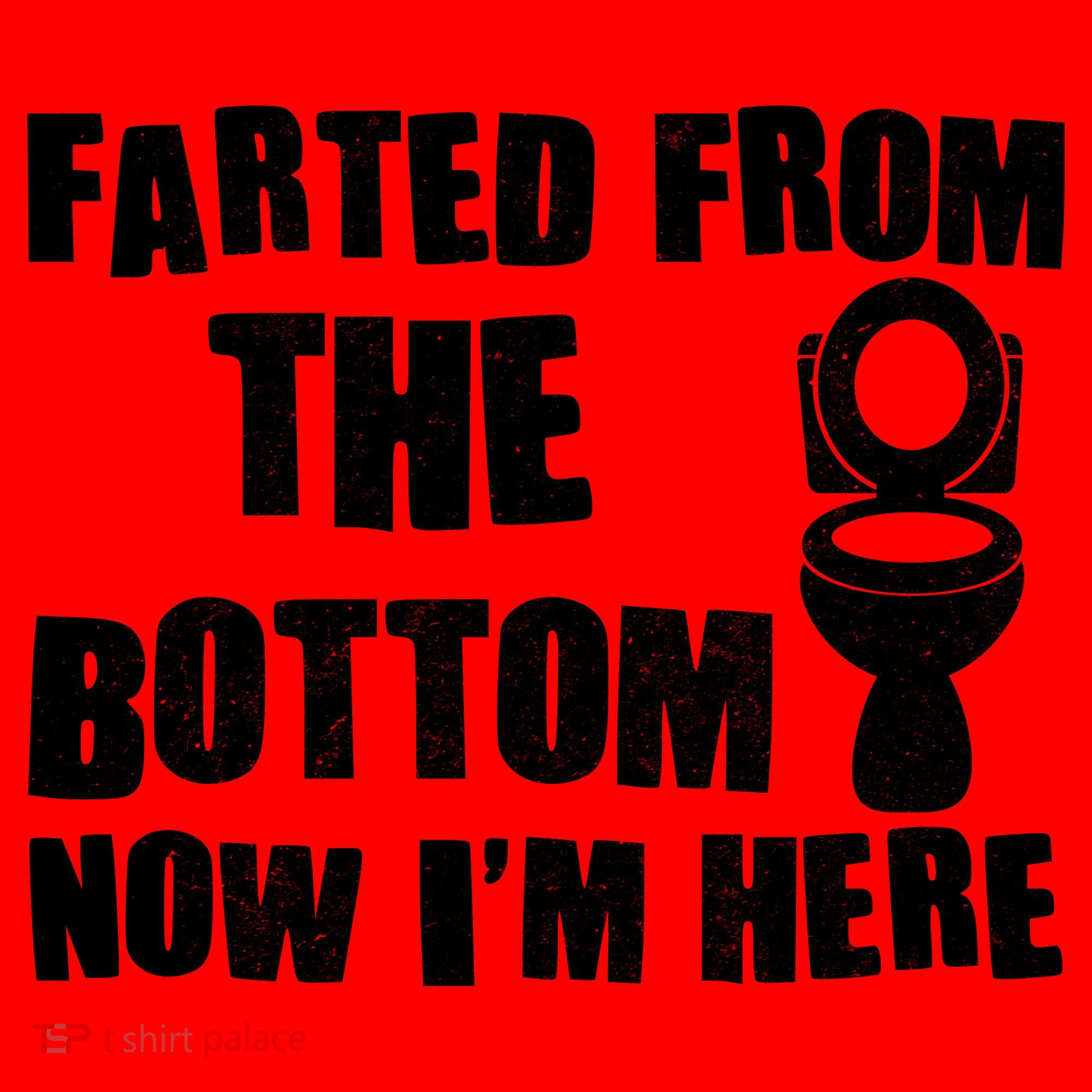 Farted From The Bottom Now I'm Here Toilet Humor Santa Hat