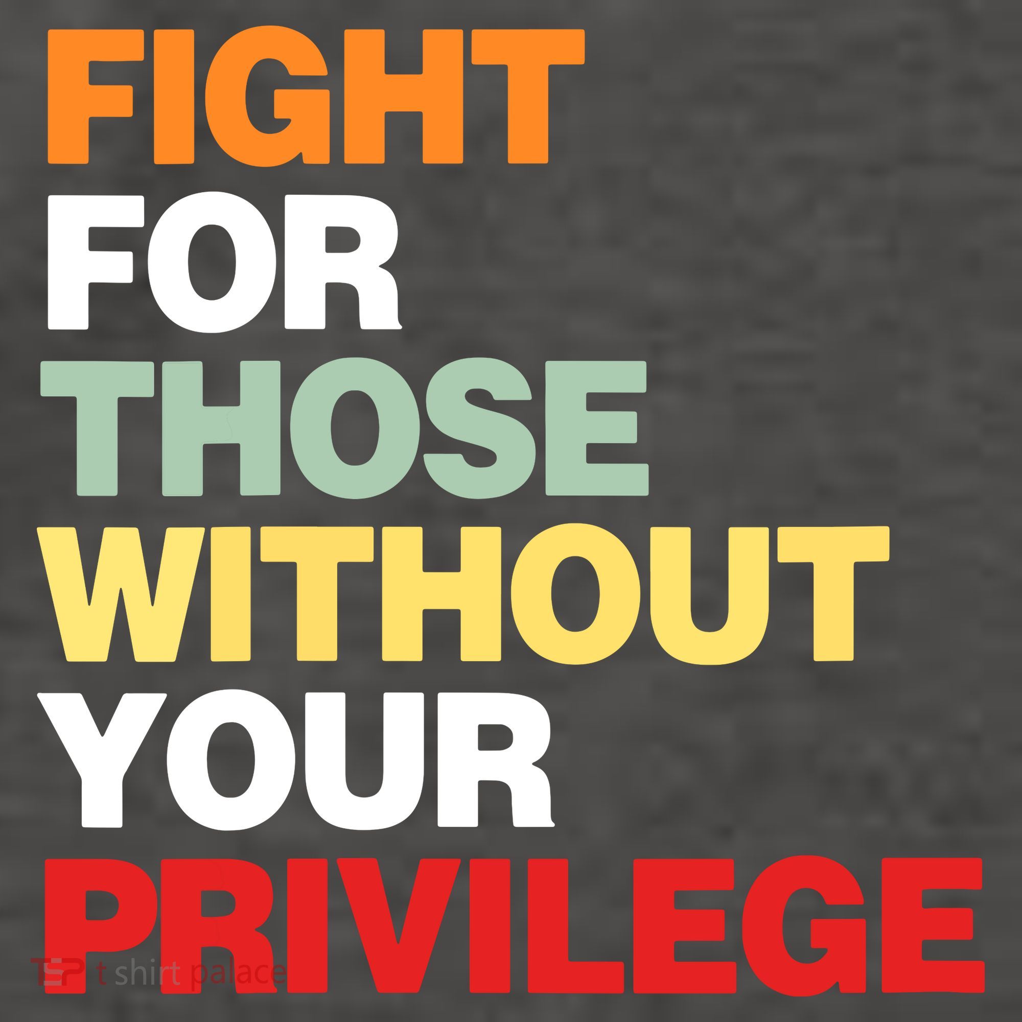 Fight For Those Without Your Privilege Women's T-Shirt