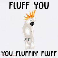 Funny Fluff You Fluffin Fluff Cockatoo Parrot Bird Gift Women's T-Shirt thumb 6