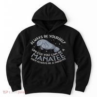 Funny Gift Always Be A Hoodie thumb 0