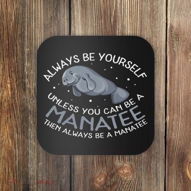 Funny Gift Always Be A Coaster