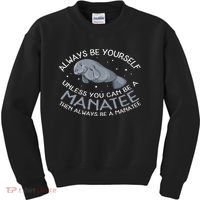 Funny Gift Always Be A Kids Sweatshirt thumb 0