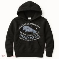 Funny Gift Always Be A Kids Hoodie thumb 0