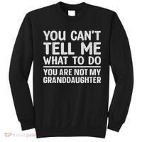 Funny Grandpa Art For Grandfather Gramps Poppy Papi Sweatshirt thumb 0