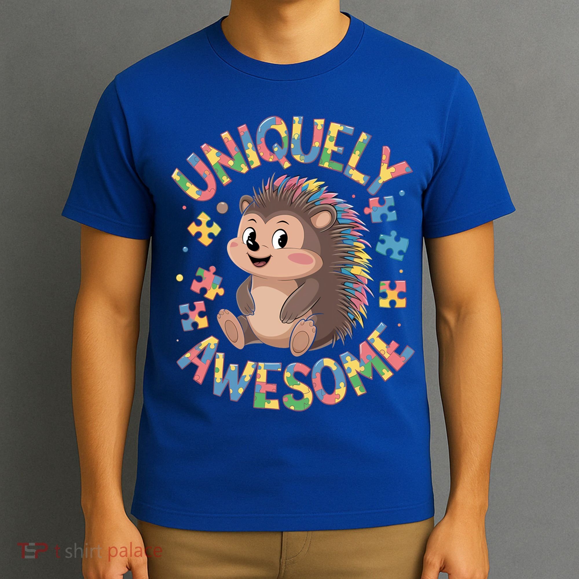 Funny Gift Autism Awareness Month Hedgehog Acceptance Neurodiversity  T-Shirt