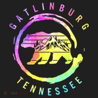 Funny Gatlinburg Bear Tenessee Women's Sweatshirt thumb 2