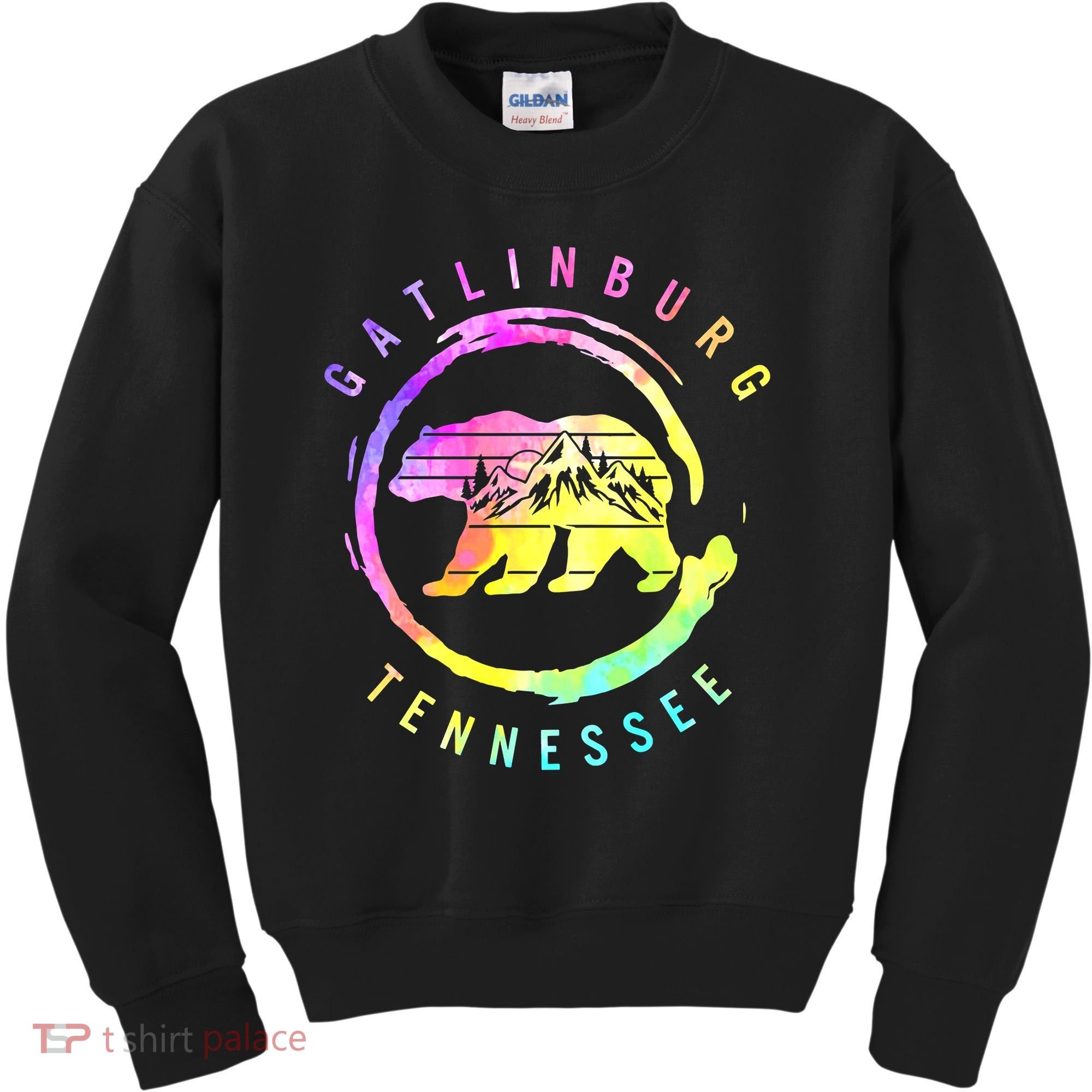 Funny Gatlinburg Bear Tenessee Kids Sweatshirt