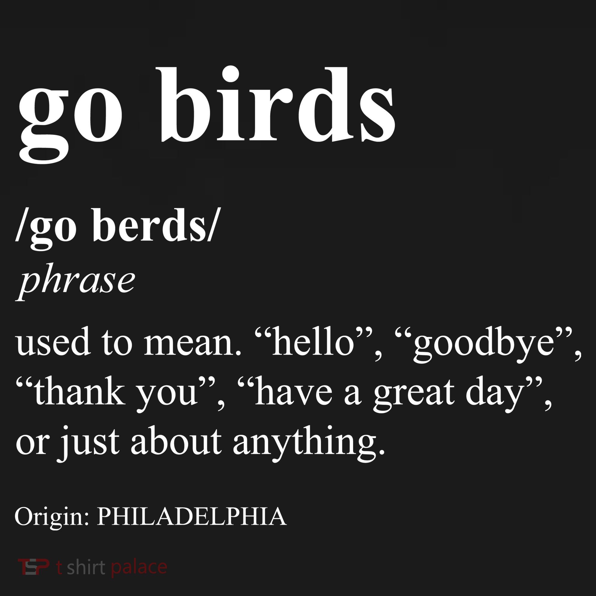 Funny Go Birds Definition Philadelphia Football Ornament
