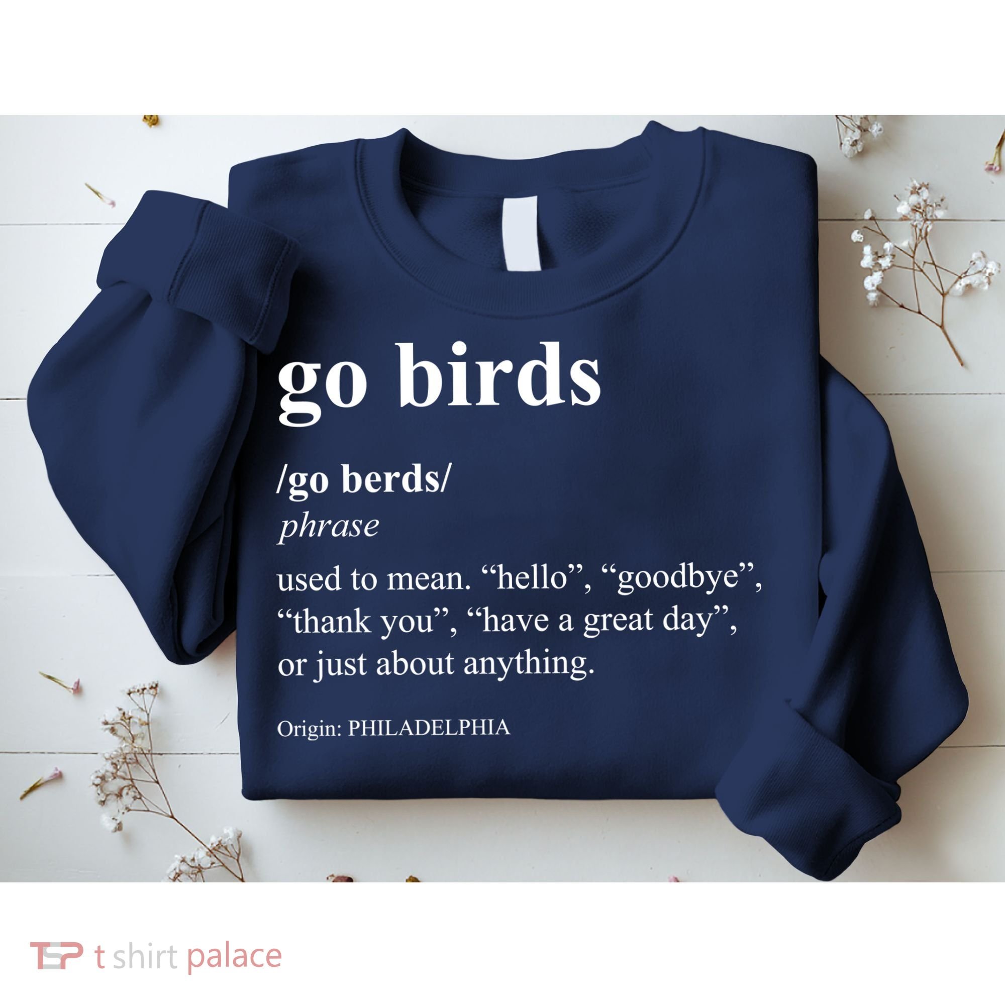 Funny Go Birds Definition Philadelphia Football Sweatshirt