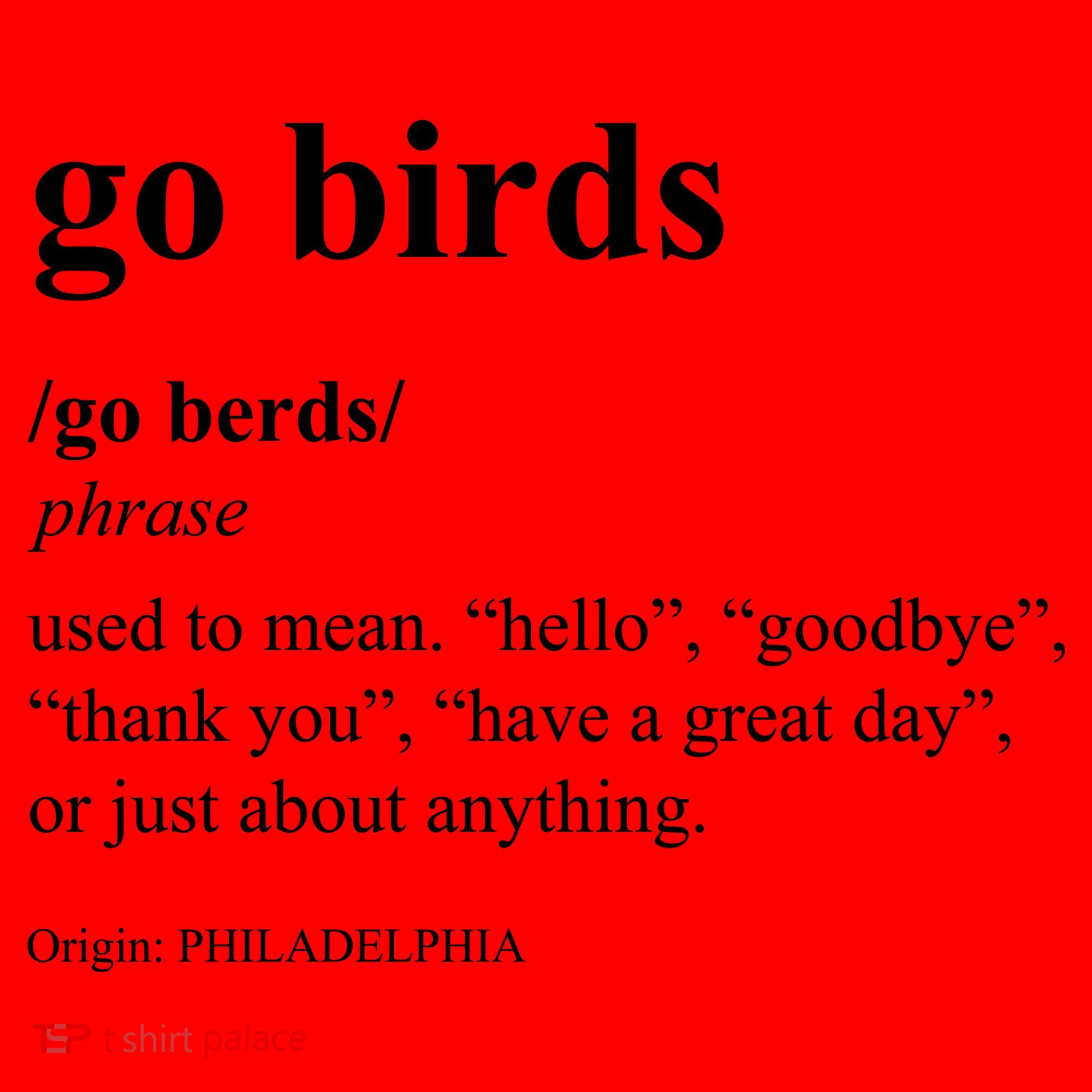 Funny Go Birds Definition Philadelphia Football Santa Hat