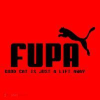 Fupa Good Cat Is Just A Lift Away Funny Running Gift Santa Hat thumb 1