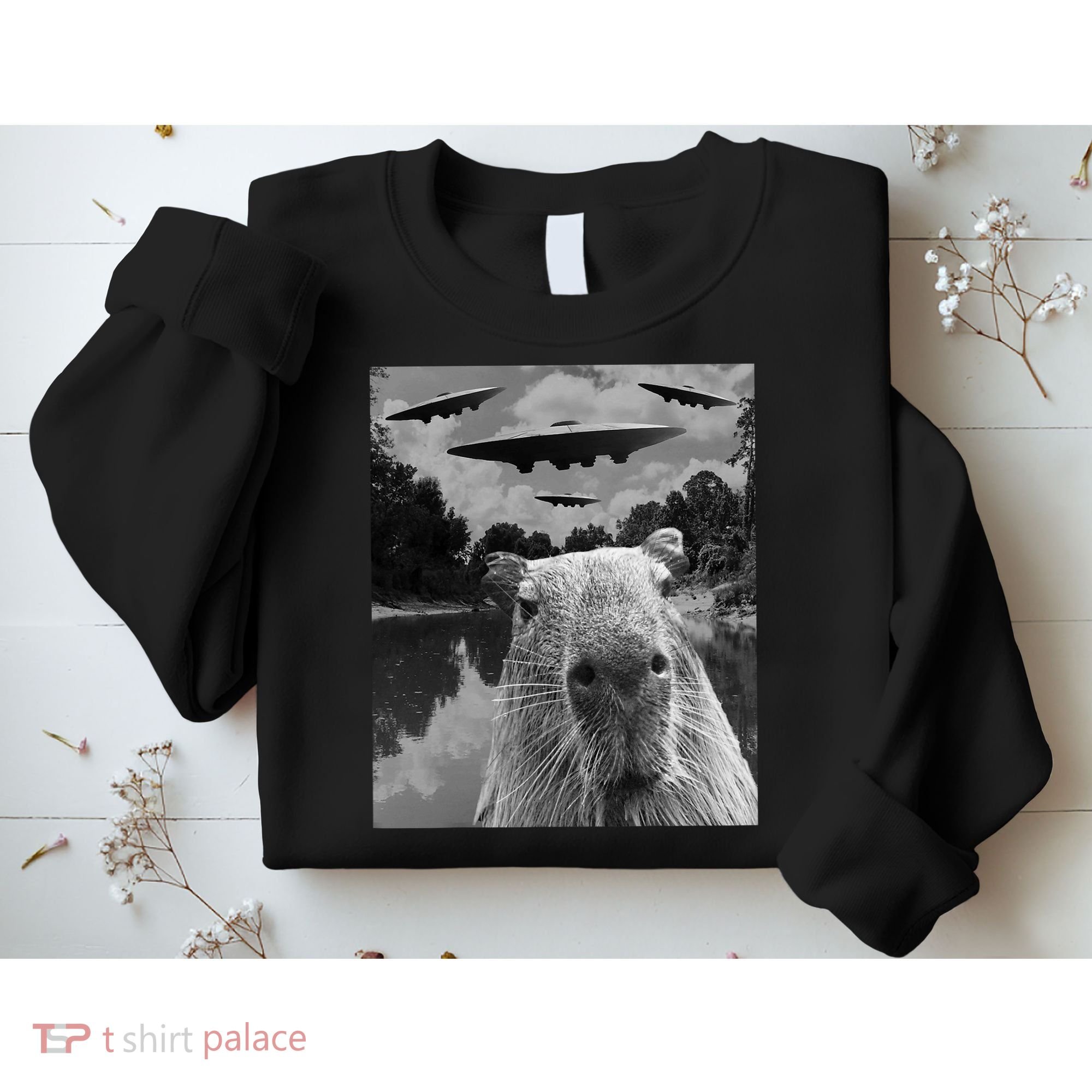 Funny Graphic Capybara Selfie With Ufos Weird Sweatshirt