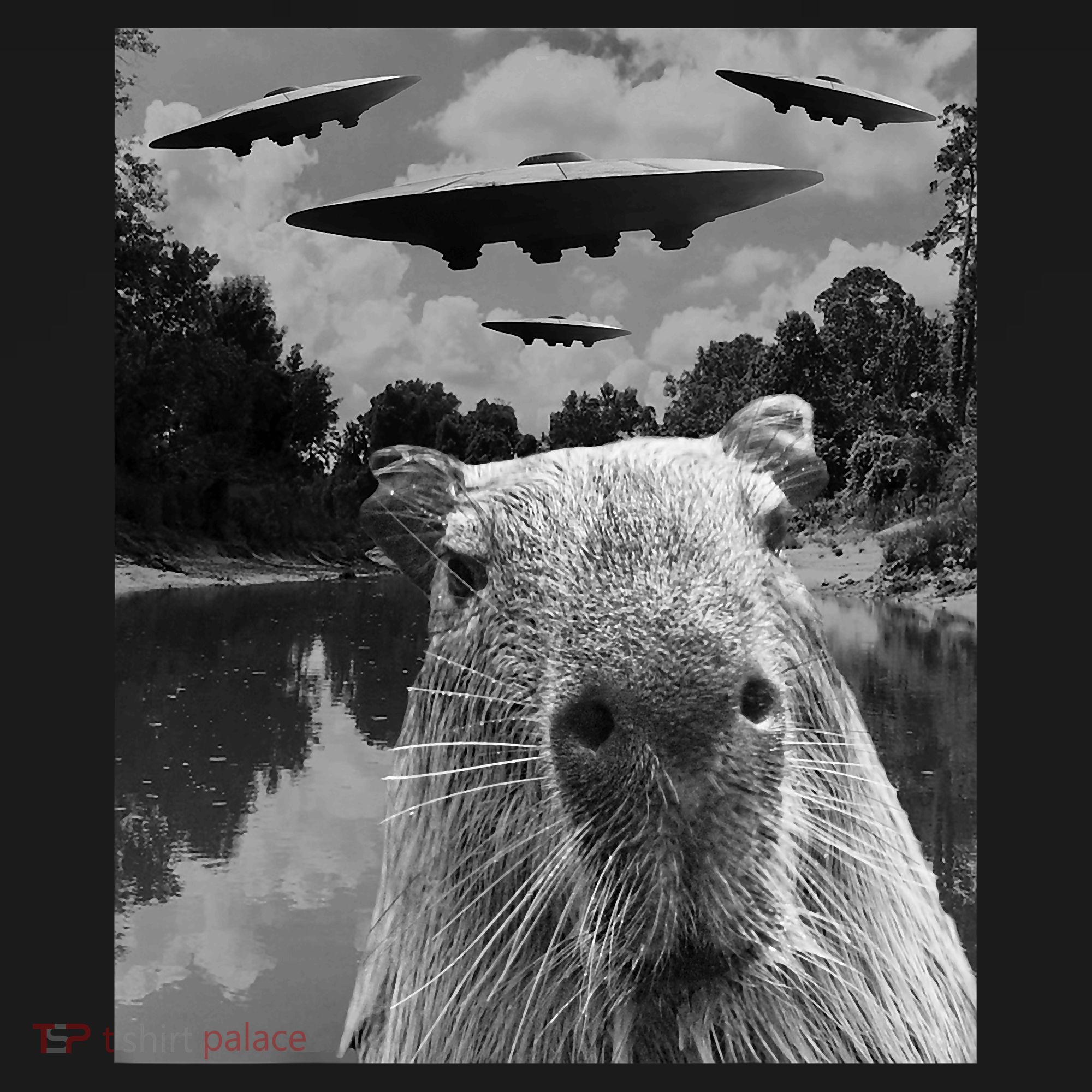 Funny Graphic Capybara Selfie With Ufos Weird Bucket Hat