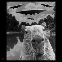Funny Graphic Capybara Selfie With Ufos Weird Coaster thumb 2
