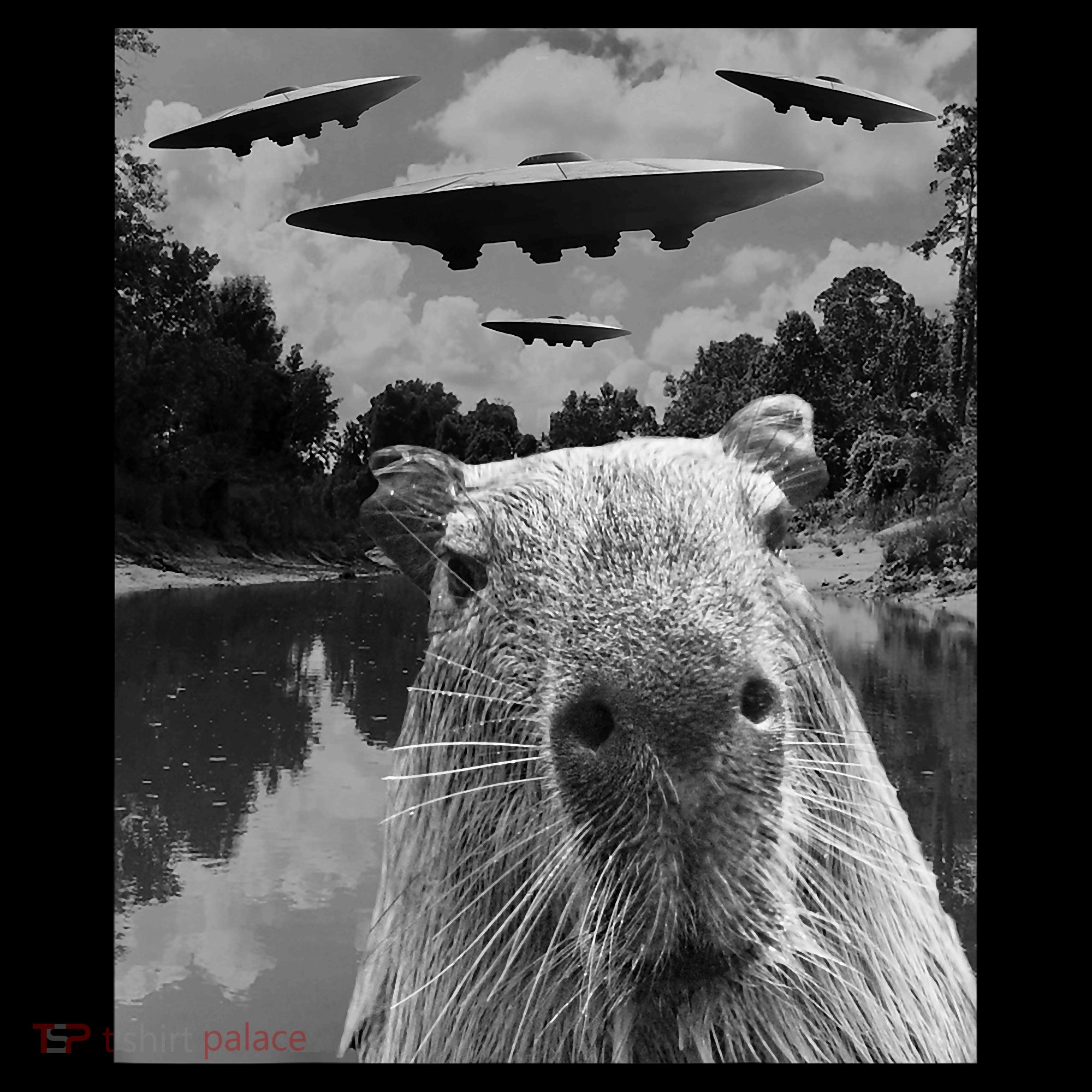 Funny Graphic Capybara Selfie With Ufos Weird Coaster