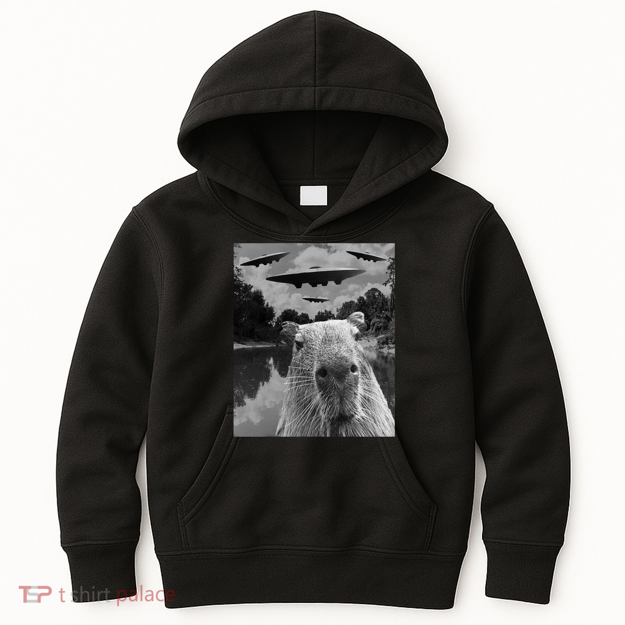 Funny Graphic Capybara Selfie With Ufos Weird Kids Hoodie