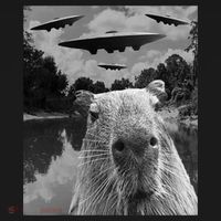 Funny Graphic Capybara Selfie With Ufos Weird Kids Hoodie thumb 5