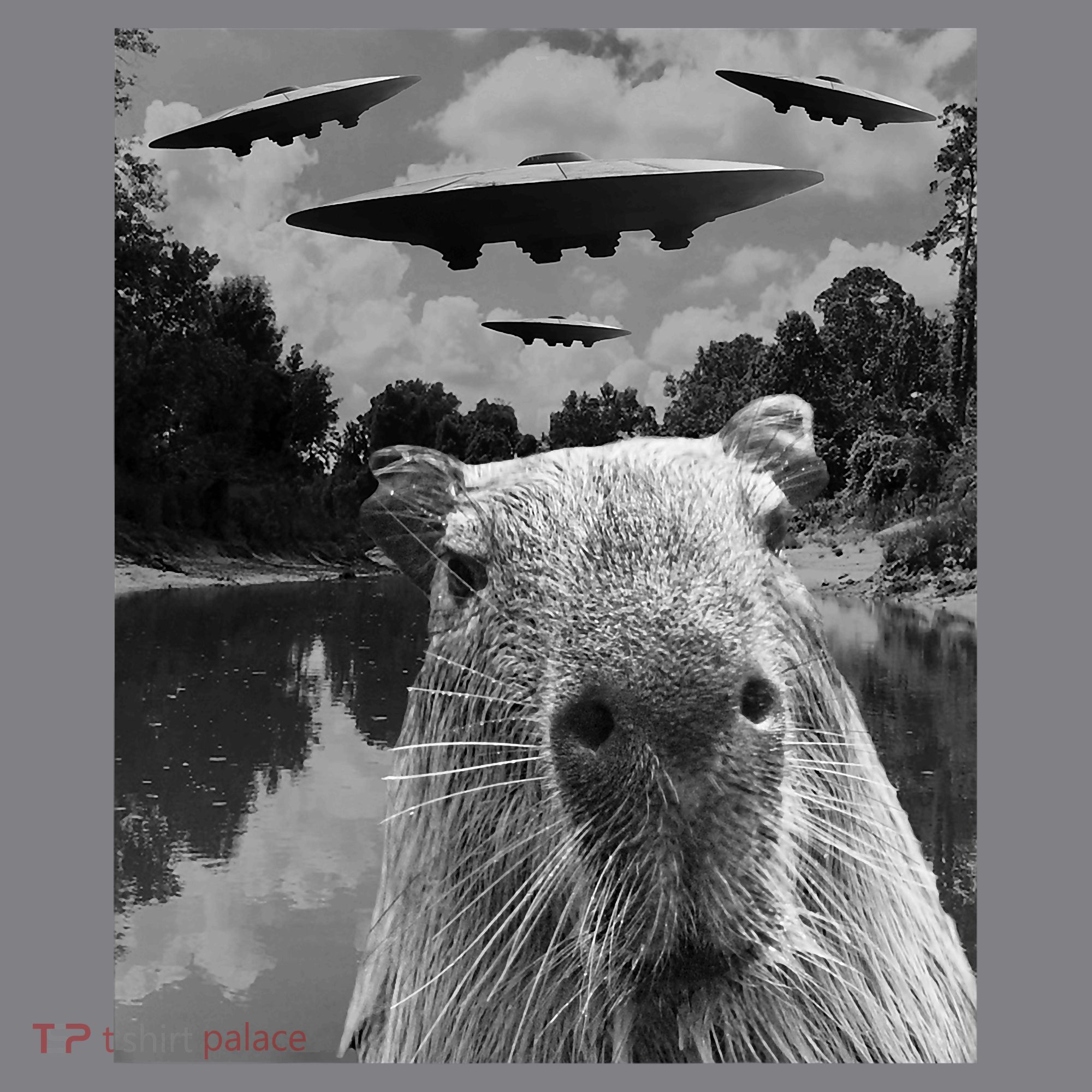 Funny Graphic Capybara Selfie With Ufos Weird T-Shirt