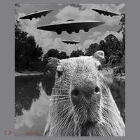 Funny Graphic Capybara Selfie With Ufos Weird Women's T-Shirt thumb 6