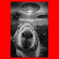 Funny Graphic Capybara Selfie With Ufos Weird Santa Hat thumb 1