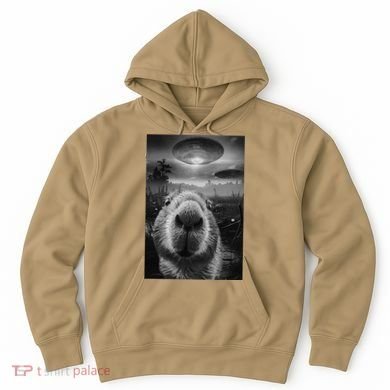 Funny Graphic Capybara Selfie With Ufos Weird Hoodie