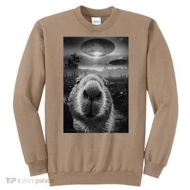 Funny Graphic Capybara Selfie With Ufos Weird Sweatshirt