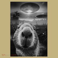 Funny Graphic Capybara Selfie With Ufos Weird Kids T-Shirt thumb 2