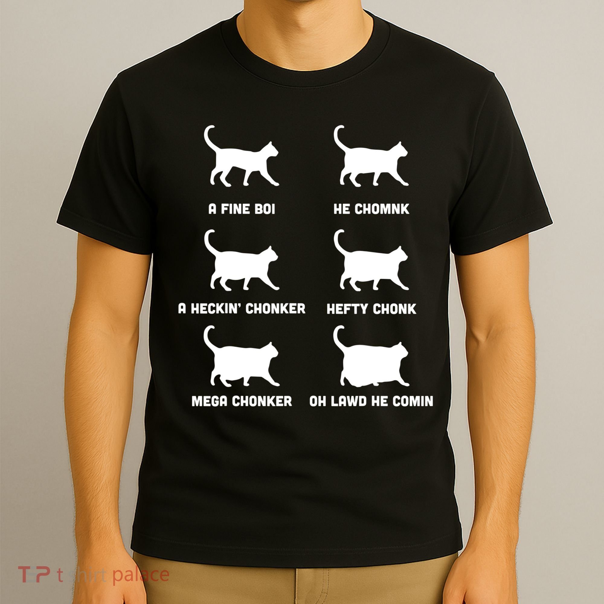 Funny Gift Cats Meme Chonk Cat Chart T-Shirt