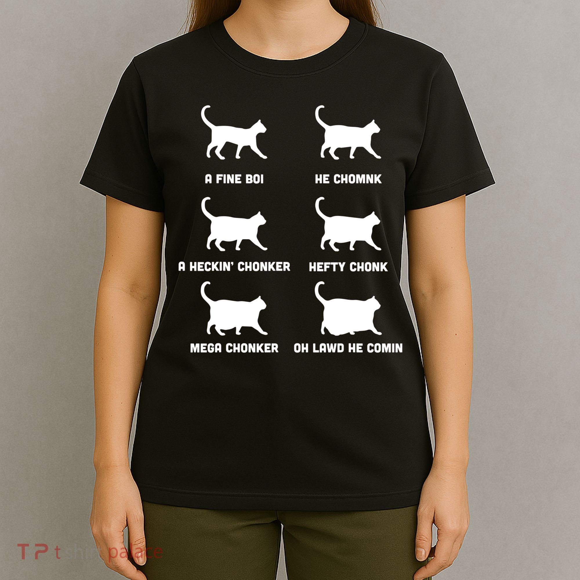 Funny Gift Cats Meme Chonk Cat Chart T-Shirt